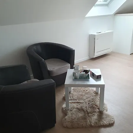 La Belinoise, A Proximite Du Circuit Des 24h * Saint-Gervais en-Belin