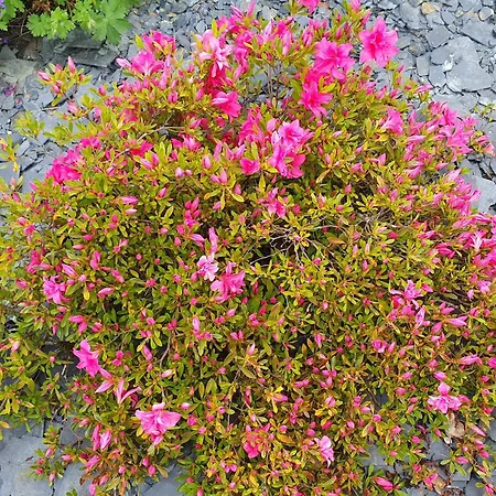 Ubytování v soukromí La Belinoise, A Proximite Du Circuit Des 24h Saint-Gervais en-Belin