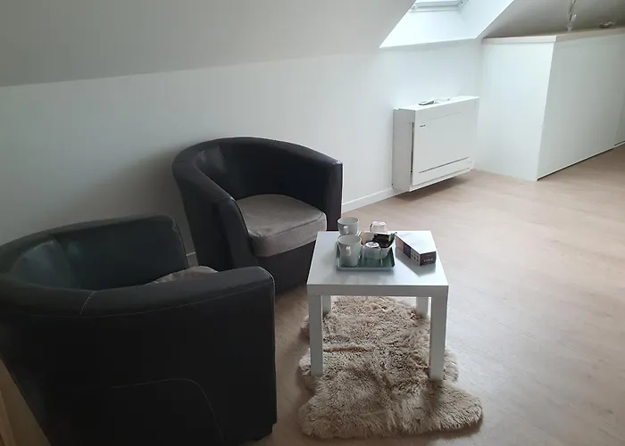 La Belinoise, A Proximite Du Circuit Des 24h * Saint-Gervais en-Belin